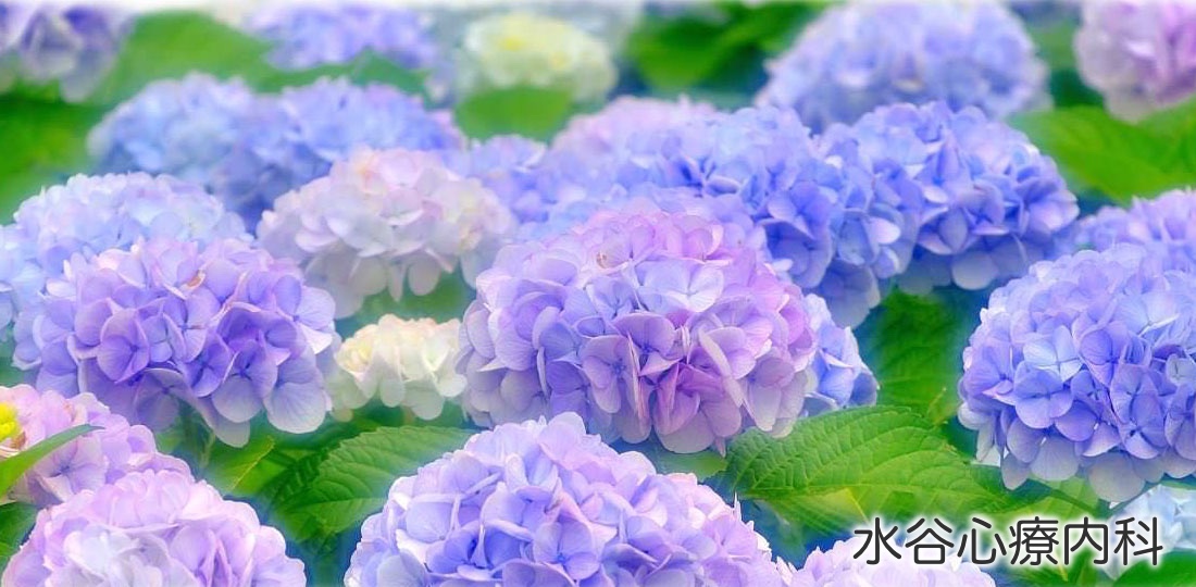 水谷心療内科季節の画像